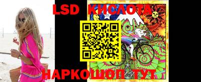 гашик Камышлов