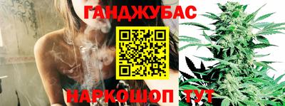 гашик Камышлов