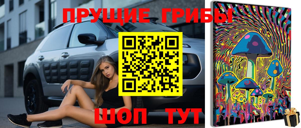 Лениногорск  Псилоцибиновые грибы мухоморы  Галлюциногенные грибы ЛСД  Вход с VPN 
